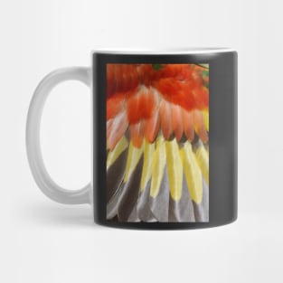 Rainbow Lorikeets Wing Feathers at Magpie Springs by Avril Thomas Mug